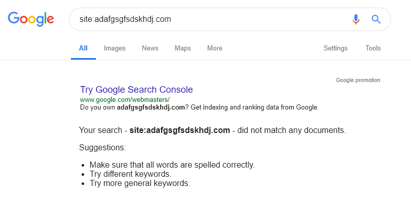 Google test result